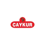 Caykur